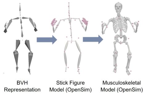 Towards entry "Method for Using IMU-Based Experimental Motion Data in BVH Format for Musculoskeletal Simulations via OpenSim"