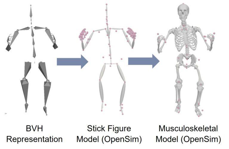 Method for Using IMU-Based Experimental Motion Data in BVH Format for Musculoskeletal Simulations via OpenSim