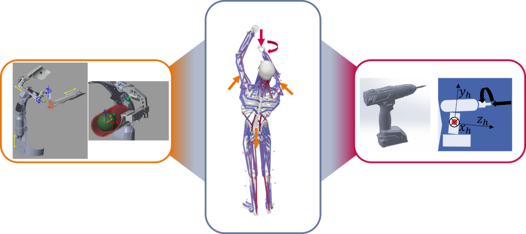 Structure of the co-simulation model between musculoskeletal human model, exoskeleton and power tool