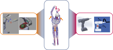 Structure of the co-simulation model between musculoskeletal human model, exoskeleton and power tool