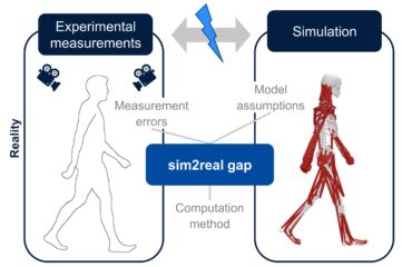 Measurement errors, model assumptions and the used computation method lead to differences between experimental measurements and simulation results; this is the sim2real gap