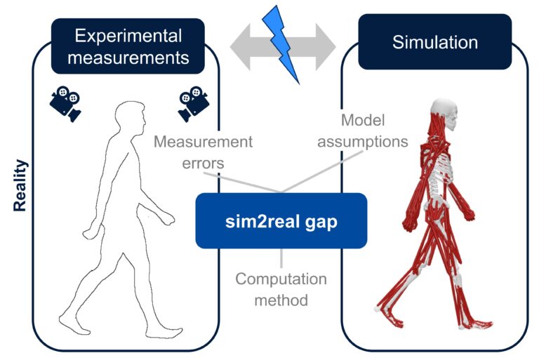 Investigating deviations between experimental motion measurements and musculoskeletal simulation results
