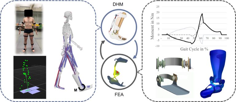 Completion of the DFG project on the design of passive, structurally optimized orthoses for the treatment or compensation of pathophysiological movement patterns